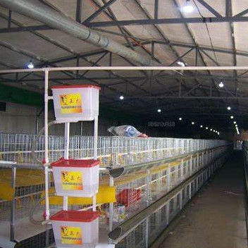 Quick Assembly Lightweight Steel Frame Chicken House Weather Resistant