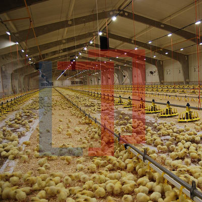Lightweight Low Cost Steel Frame House , Prefab Steel Frame Farm Building