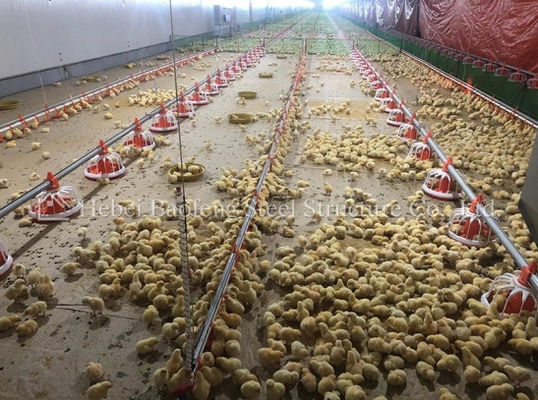 Automatic Prefab Steel Structure Chicken House Q235 Q345 Steel Frame Shed House