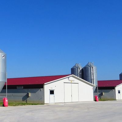 Economical Light Steel House Construction Customized Steel Structure Shed Factory