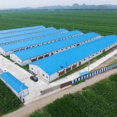 Economical Light Steel House Construction Customized Steel Structure Shed Factory