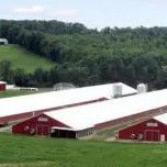 Economical Light Steel House Construction Customized Steel Structure Shed Factory