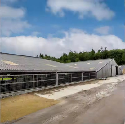 Temporary Prefabricated Steel Farm Storage Buildings Size Customized