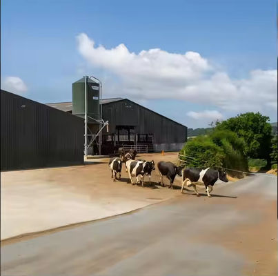 Farmhouse Style Steel Structure Cow Shed Prefabricated Temporary Storage Buildings