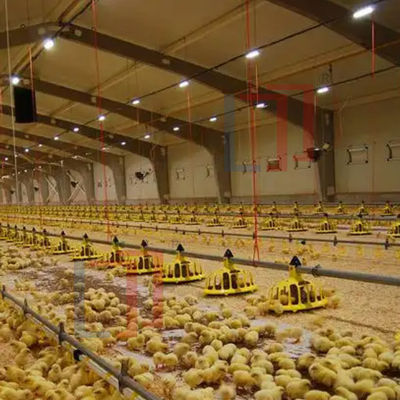 Q235B Q355B Steel Structure Chicken House , Economical Prefab Steel Structure Building