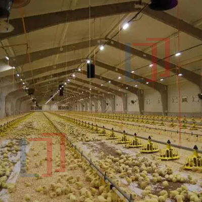 Q235B Q355B Steel Structure Chicken House , Economical Prefab Steel Structure Building