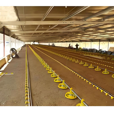 Prefab Automatic Steel Structure Chicken House / Chicken Coop Steel Frame House