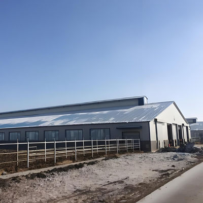Weld Steel Structure Cow Shed Construction , Temporary Livestock Shelter