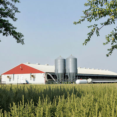 Metal Frame Steel Structure Cow Shed Prefabricated Farm Shed Building