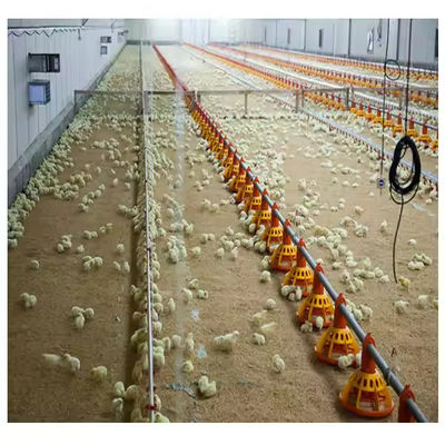 Customized Steel Structure Chicken House Industrial Weather Resistant