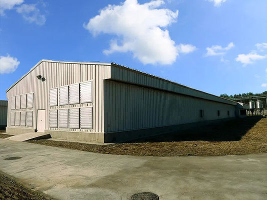 Industrial Steel Structure Warehouse Construction , Prefab Metal Warehouse Building