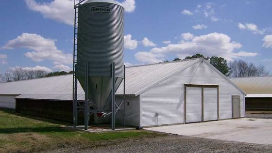 Modern Lightweight Metal Frame Building Poultry Farm Structure