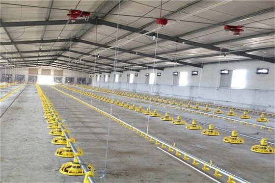 Modern Lightweight Metal Frame Building Poultry Farm Structure