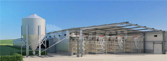 Modern Lightweight Metal Frame Building Poultry Farm Structure