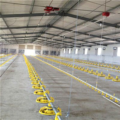 Custom Modern Steel Frame House , High Strength Metal Chicken House