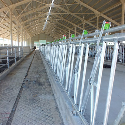 Steel Frame Prefabricated Goat Shed Q235B Q355B Steel Factory Shed