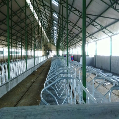 Steel Frame Prefabricated Goat Shed Q235B Q355B Steel Factory Shed