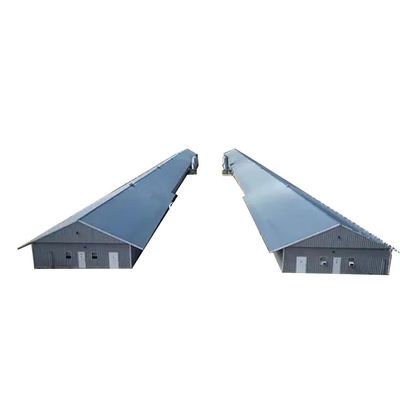 Q235B Q355B Steel Structure Cow Shed Economical Steel Frame Farm Buildings For Cow / Cattle Care