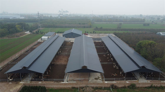 Q235B Q355B Steel Structure Cow Shed Economical Steel Frame Farm Buildings For Cow / Cattle Care