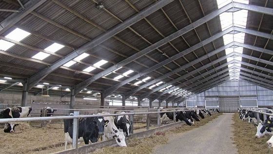 Easy Install Prefab Barns And Sheds , Metal Cattle Shed Construction