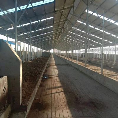 Prefab Steel Structure Warehouse , Metal Dairy Barn Building