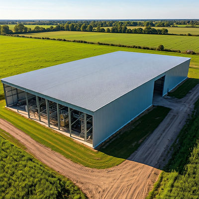 Galvanized Customized Industrial Prefabricated Metal Warehouses Steel Structure Frame Welded