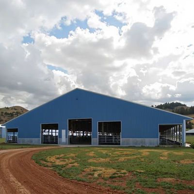 Cow Shed Prefab Steel Farm Building Steel Structure For Livestock
