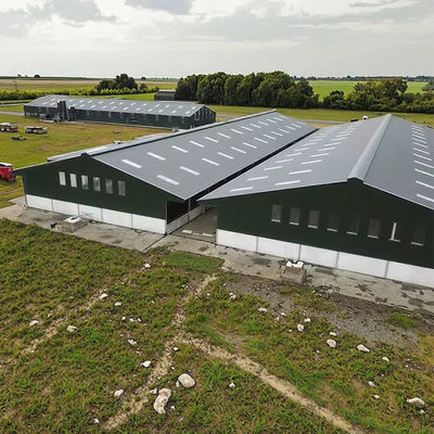 Cow Shed Prefab Steel Farm Building Steel Structure For Livestock