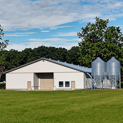 Prefab Steel Structure Low Cost Commercial Chicken House Complete Poultry Farm Shed for Chicken Raising