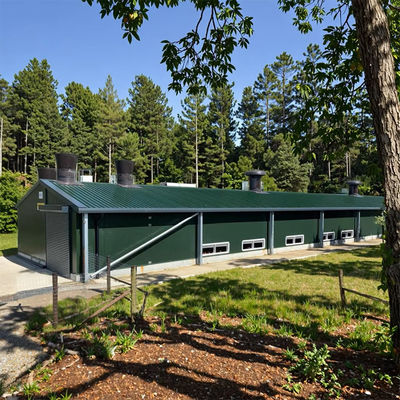 Prefab Steel Structure Low Cost Commercial Chicken House Complete Poultry Farm Shed for Chicken Raising