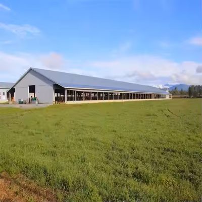 Modern Design Prefab Dairy Cow Shed Steel Structure Farm House With Cow Stable Easy Installation