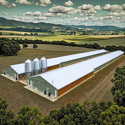 Prefab Cheap Cost Steel Structure Chicken House Farm Broiler Poultry Shed Construction Design
