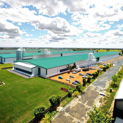 Q235/Q345 Steel Structure Chicken House Farm Broiler Poultry Shed Construction Design with Durable Sandwich Panel Roofing
