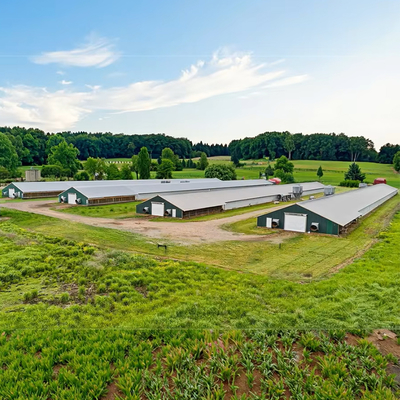 Customized Galvanized Steel Chicken Shed for Poultry Farming