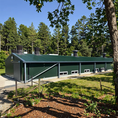 Customized Galvanized Steel Chicken Shed for Poultry Farming