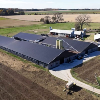 Automatic Prefabricated Steel Structure Poultry Farm Building Shed Broiler Commercial Farming Chicken Houses