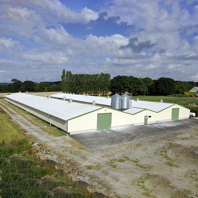 Custom Modern Steel Frame House , High Strength Metal Chicken House