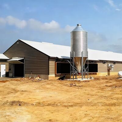 Weather-Resistant Steel Structure Chicken House With Quick Installation And Customizable Features