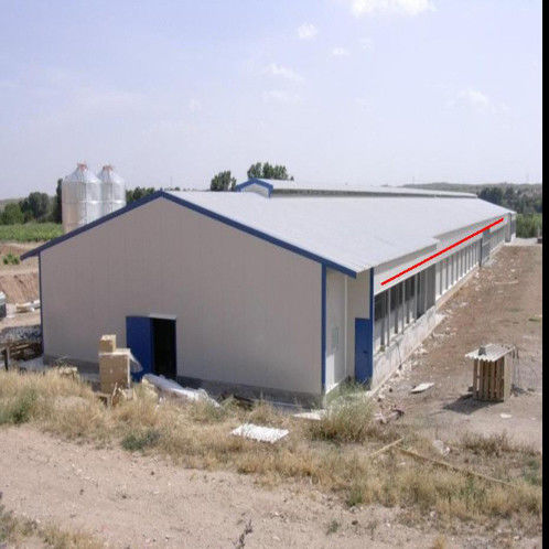 Quick Assembly Lightweight Steel Frame Chicken House Weather Resistant