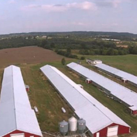 Customized Modern Steel Structure Chicken House Layer Cage For Chickens Poultry Farm