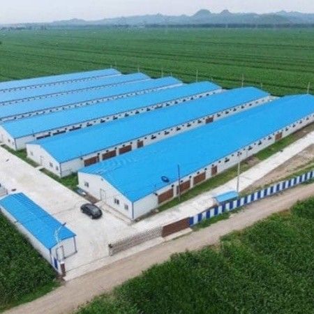 Economical Light Steel House Construction Customized Steel Structure Shed Factory