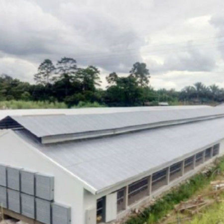 Q235B Q355B Steel Structure Chicken House , Economical Prefab Steel Structure Building