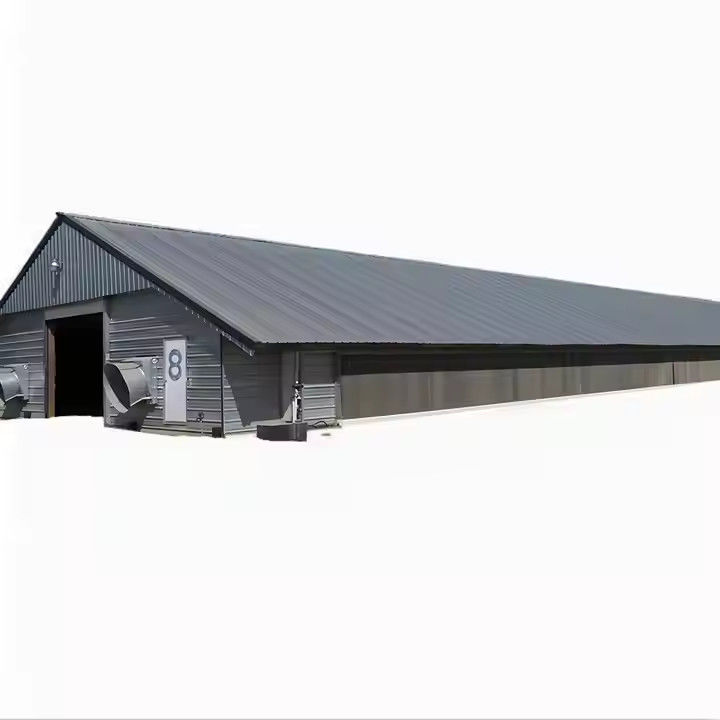 Prefab Steel Structure Chicken House Building , Light Steel Fabricated Building