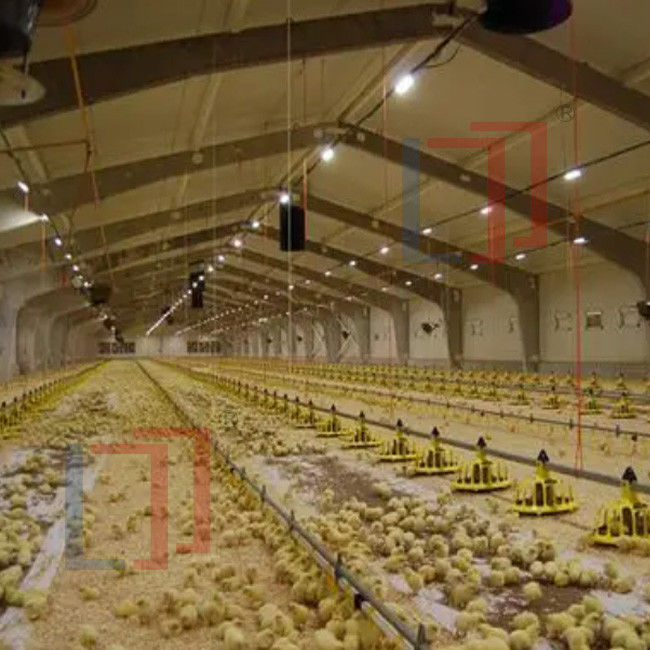 Q235B Q355B Steel Structure Chicken House , Economical Prefab Steel Structure Building