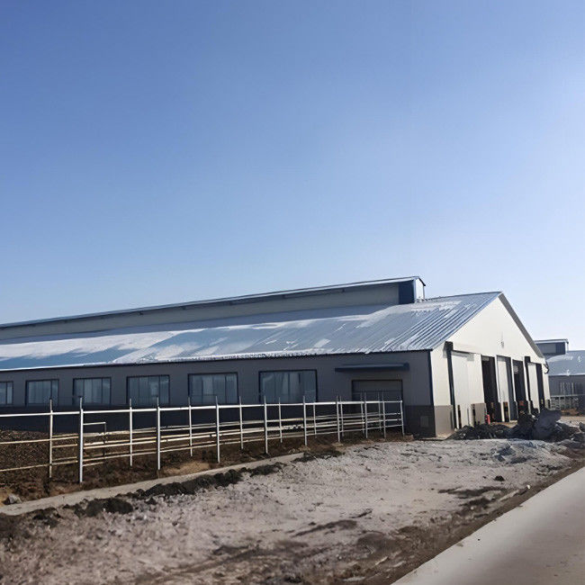 Weld Steel Structure Cow Shed Construction , Temporary Livestock Shelter