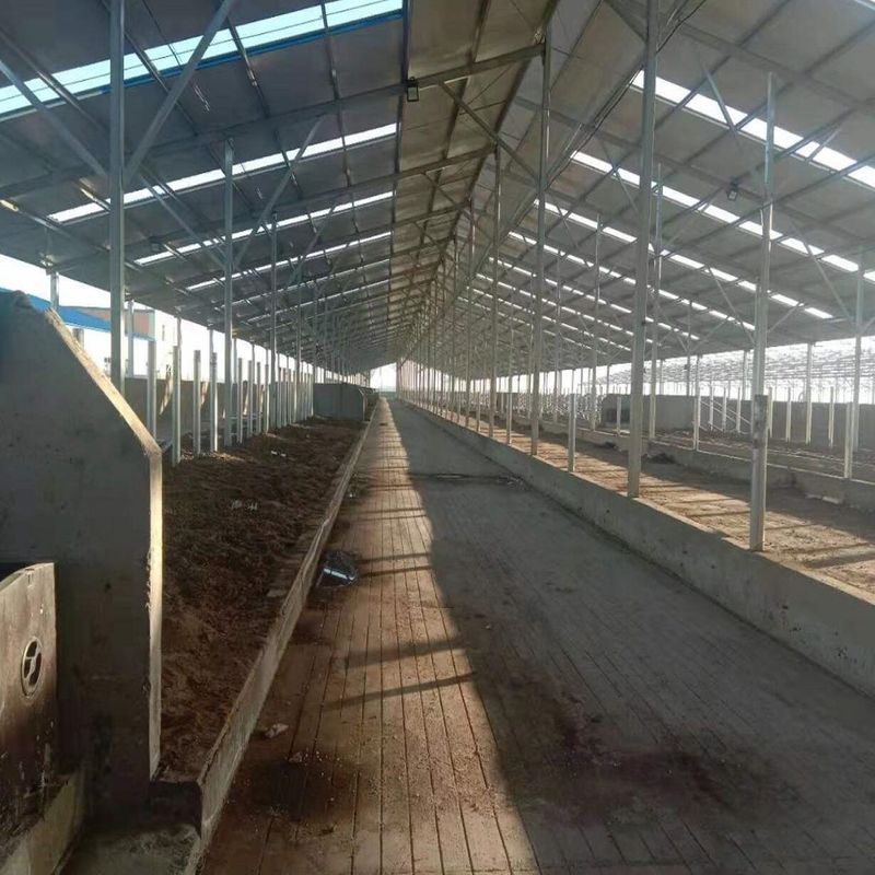 Prefab Steel Structure Warehouse , Metal Dairy Barn Building