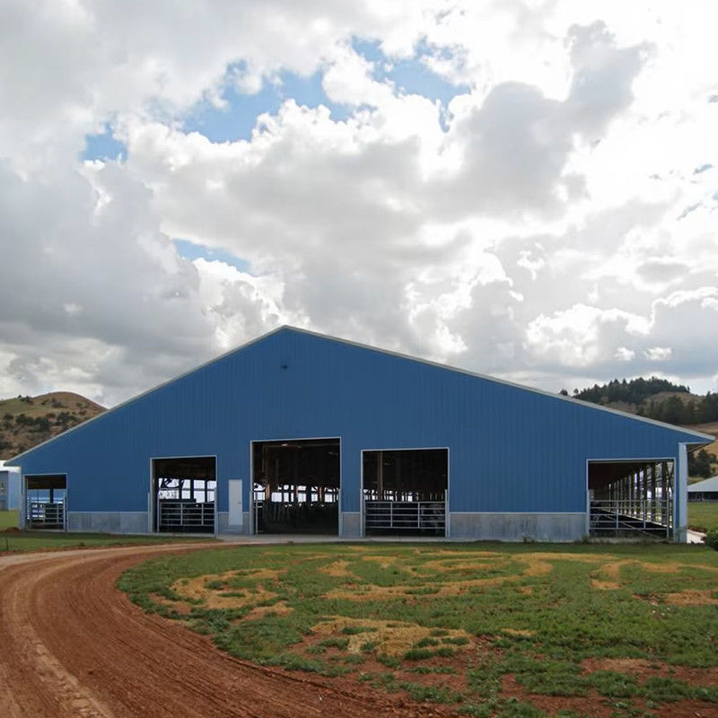 Cow Shed Prefab Steel Farm Building Steel Structure For Livestock