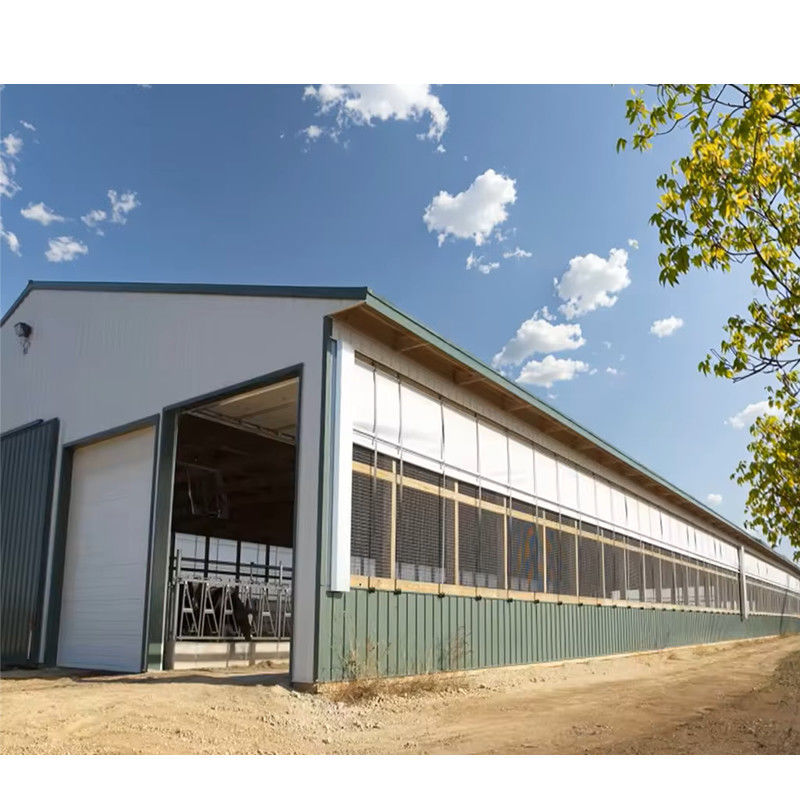 Cheap Cost and Easy Install Prefab Customized Cow Shed Prefabricated Steel Structure Design Dairy Farm