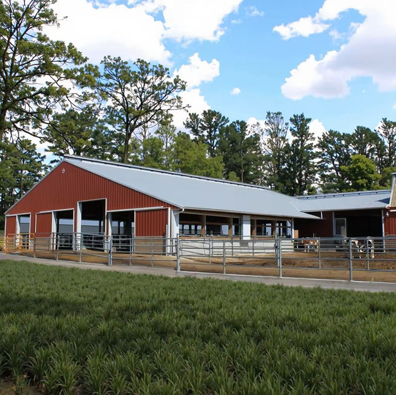 Cheap Cost and Easy Install Prefab Customized Cow Shed Prefabricated Steel Structure Design Dairy Farm