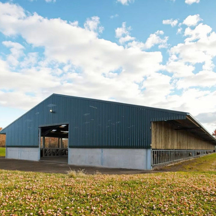 Cheap Cost and Easy Install Prefab Customized Cow Shed Prefabricated Steel Structure Design Dairy Farm